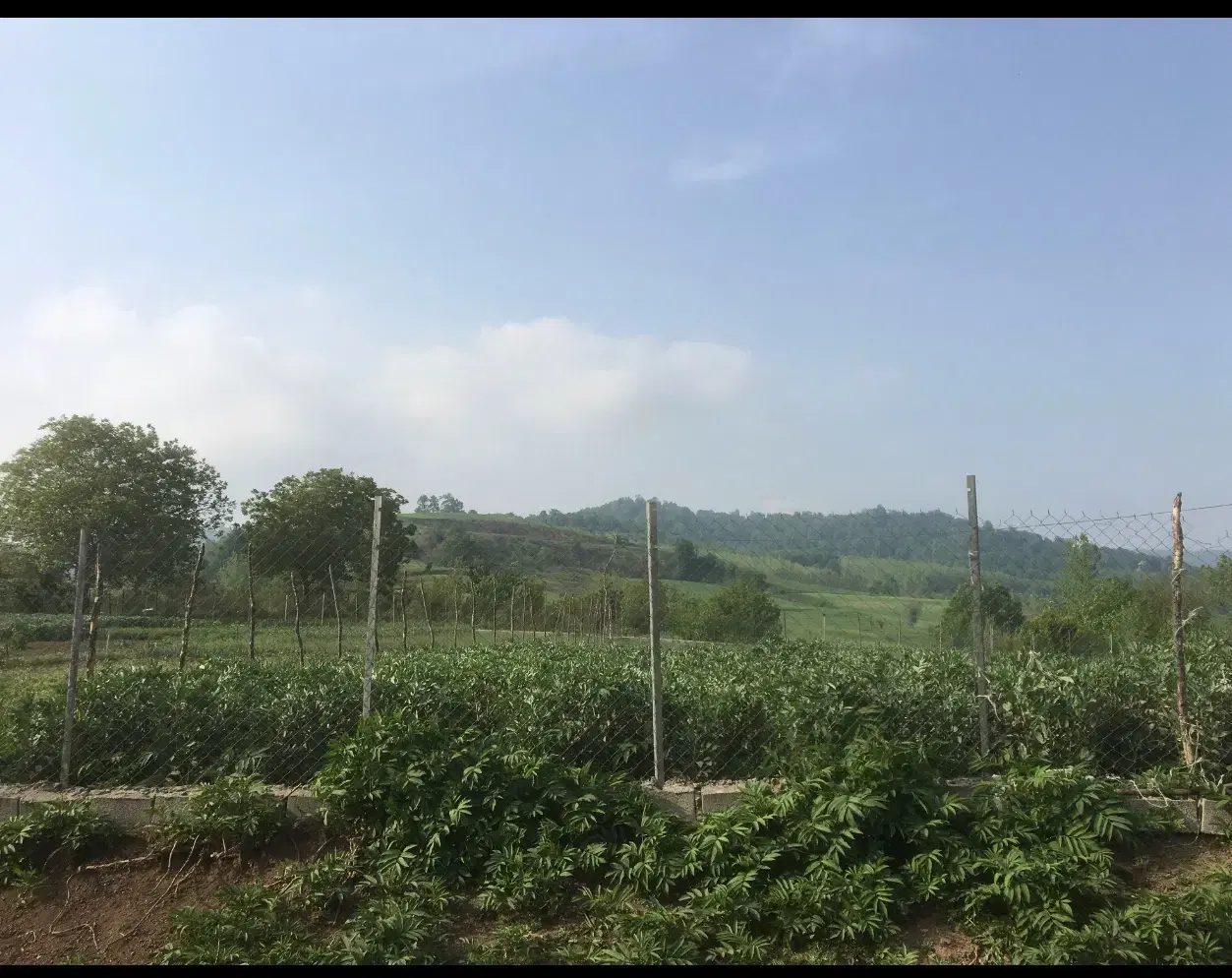 فروش زمین بافت روستای شبکلا