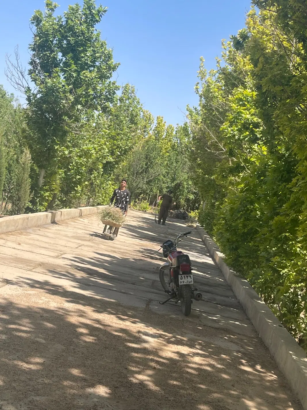 گود گویم ( املاک رحیمی )