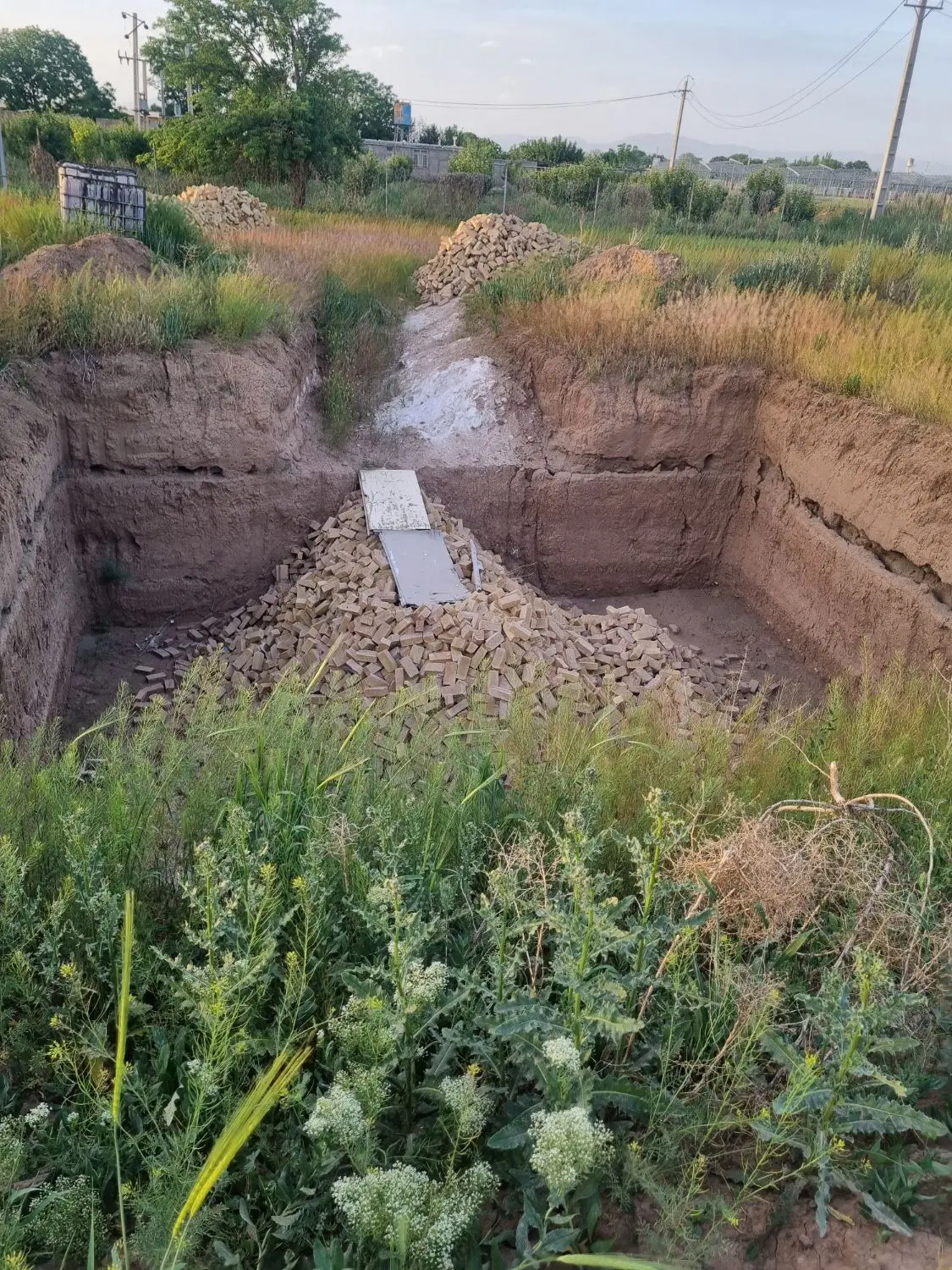 زمین گلخانه