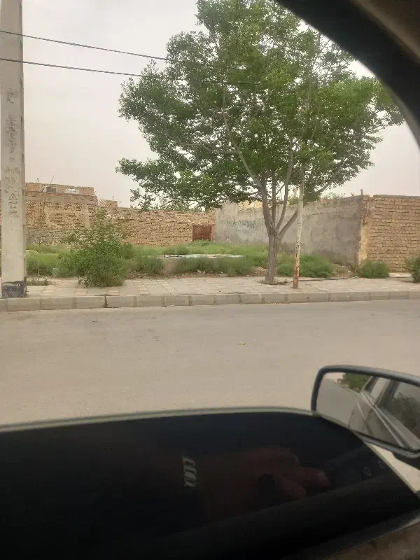 زمین شهرک ربیع