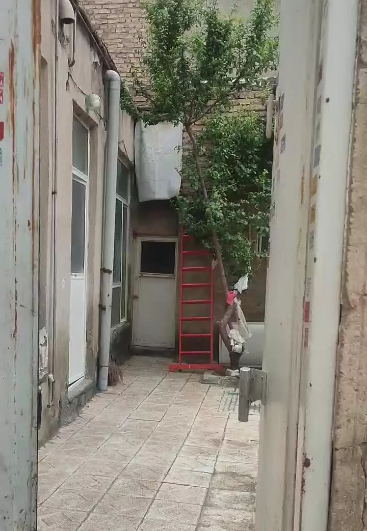 اجاره خانه مسکونی قدیمی ساخت