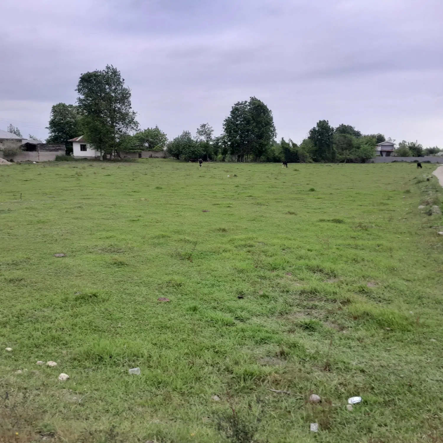کشاورزی