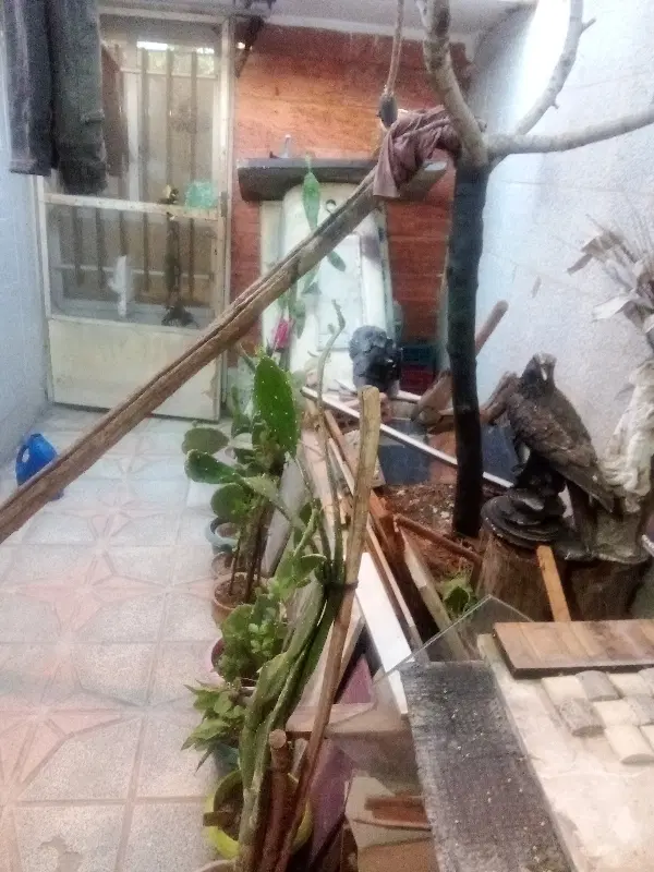 زمین کشاورزی