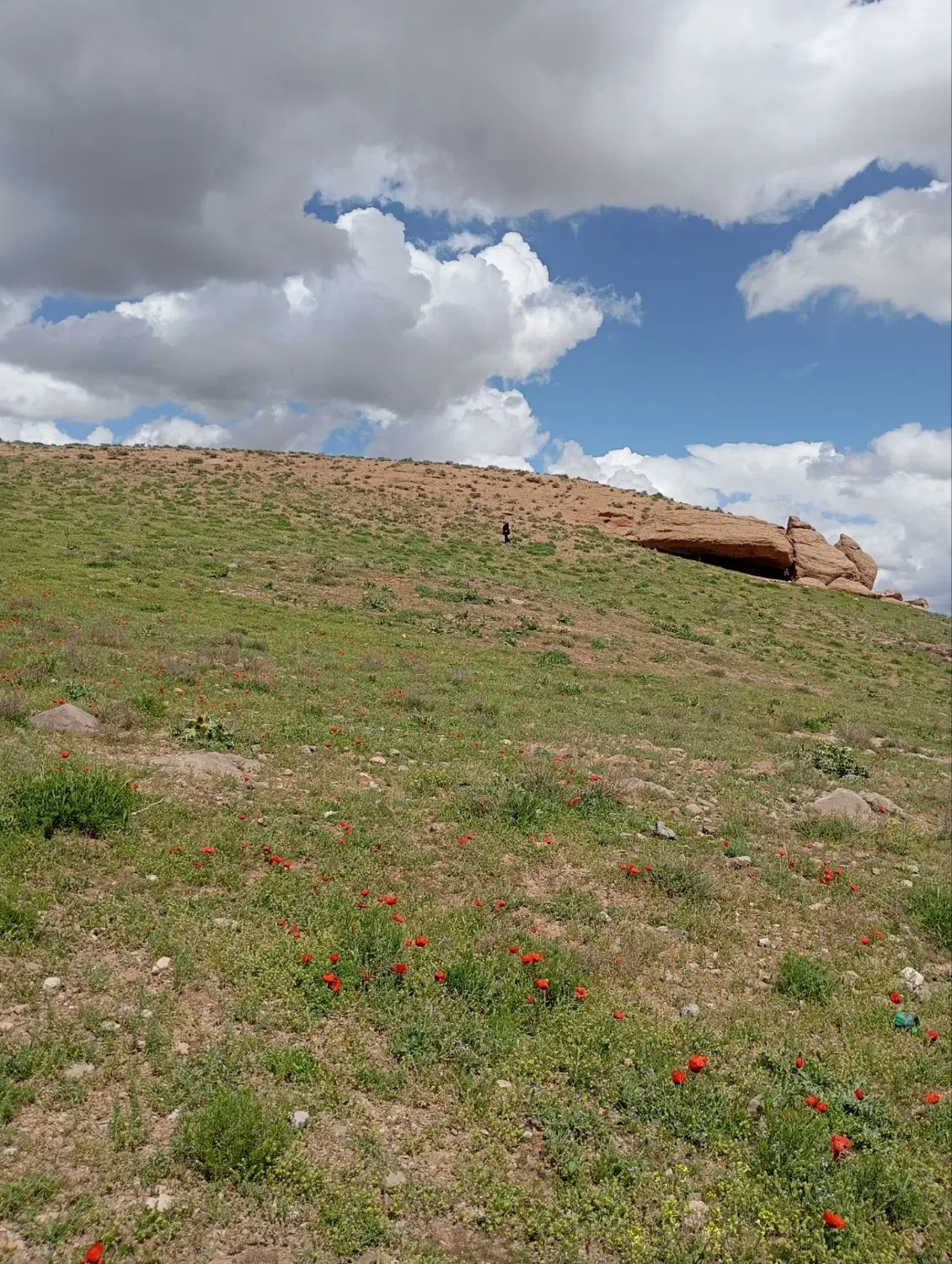 فروش زمین
