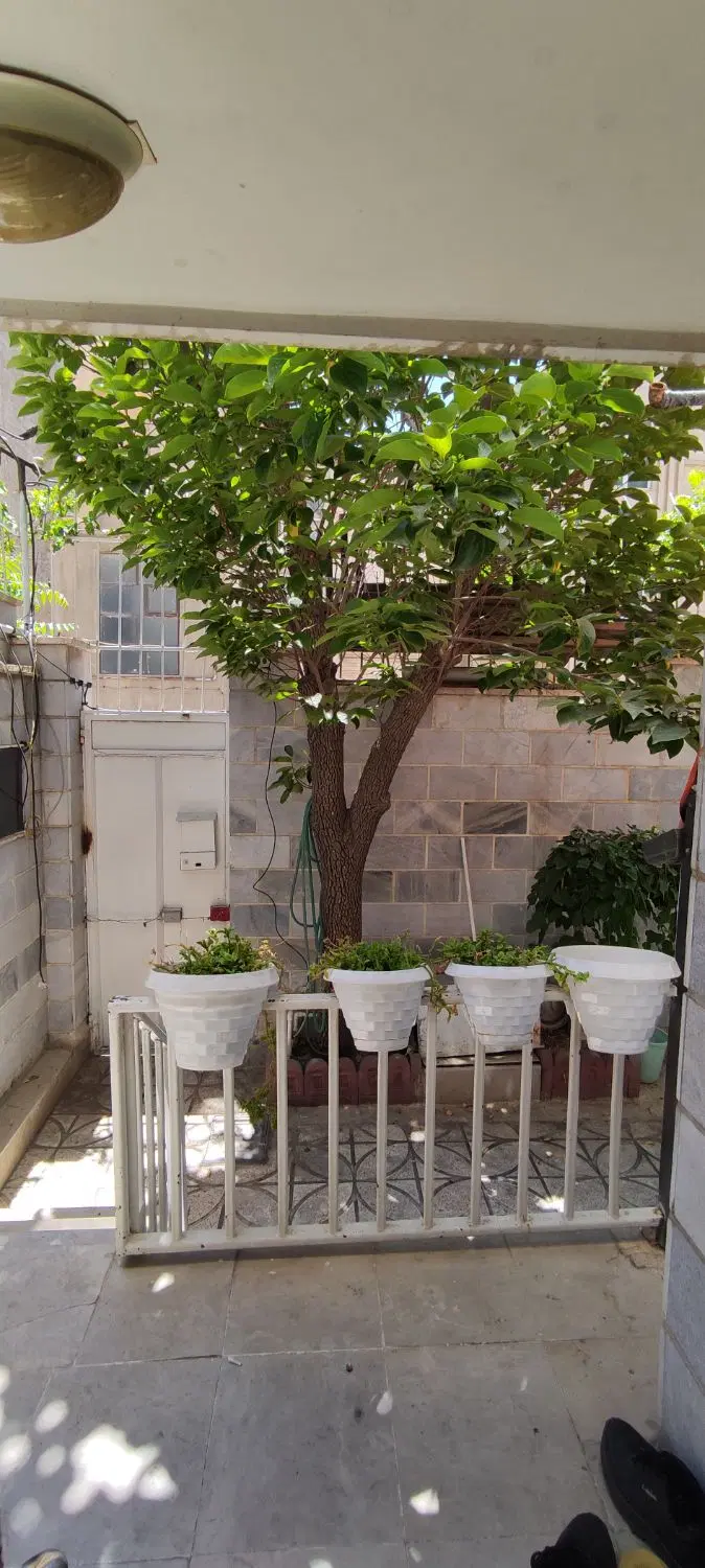 ویلایی شیک طبقه همکف