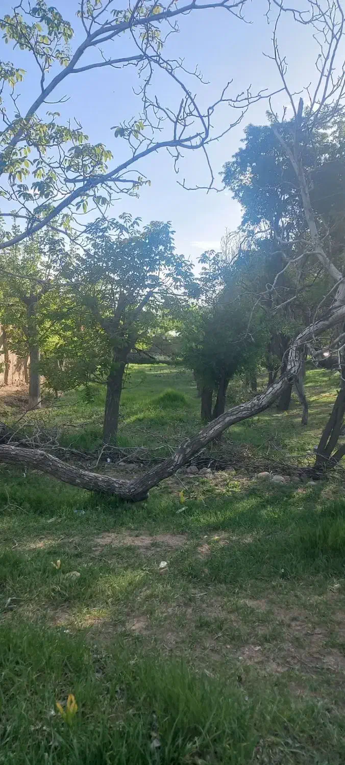 گوغر خانه باغ