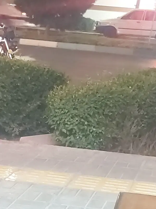 رهن و اجاره آپارتمان ۱۶۰ متری ملک شهر