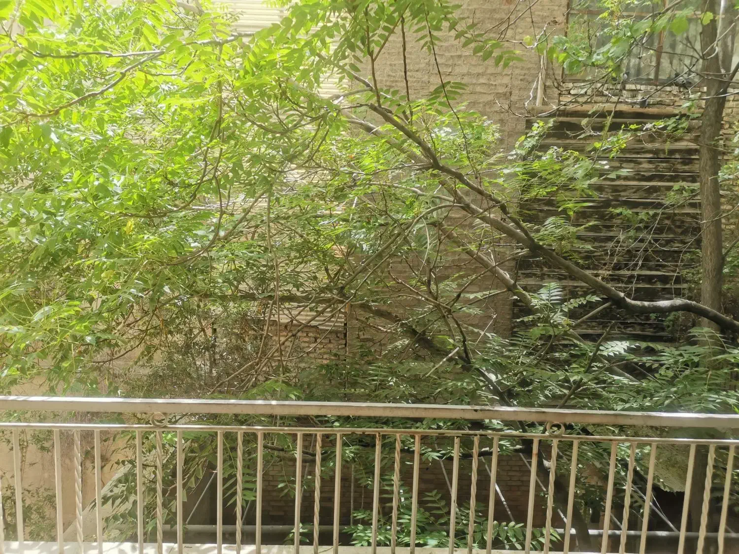 اجاره ملی ویلایی مناسب کارگاه و چند خانواده