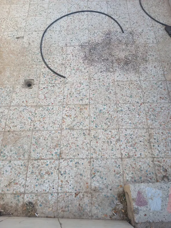 سویت برای اجاره‌