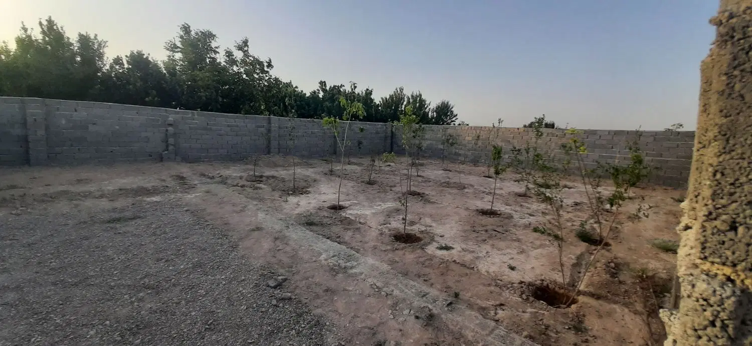 باغچه فروشی