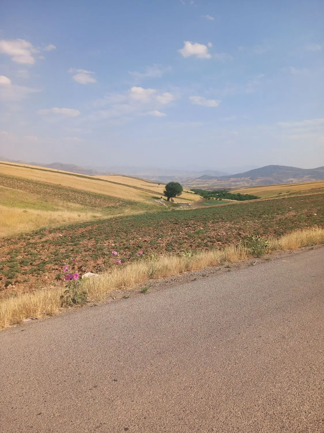 زمین ساختمانی مسکونی تجاری