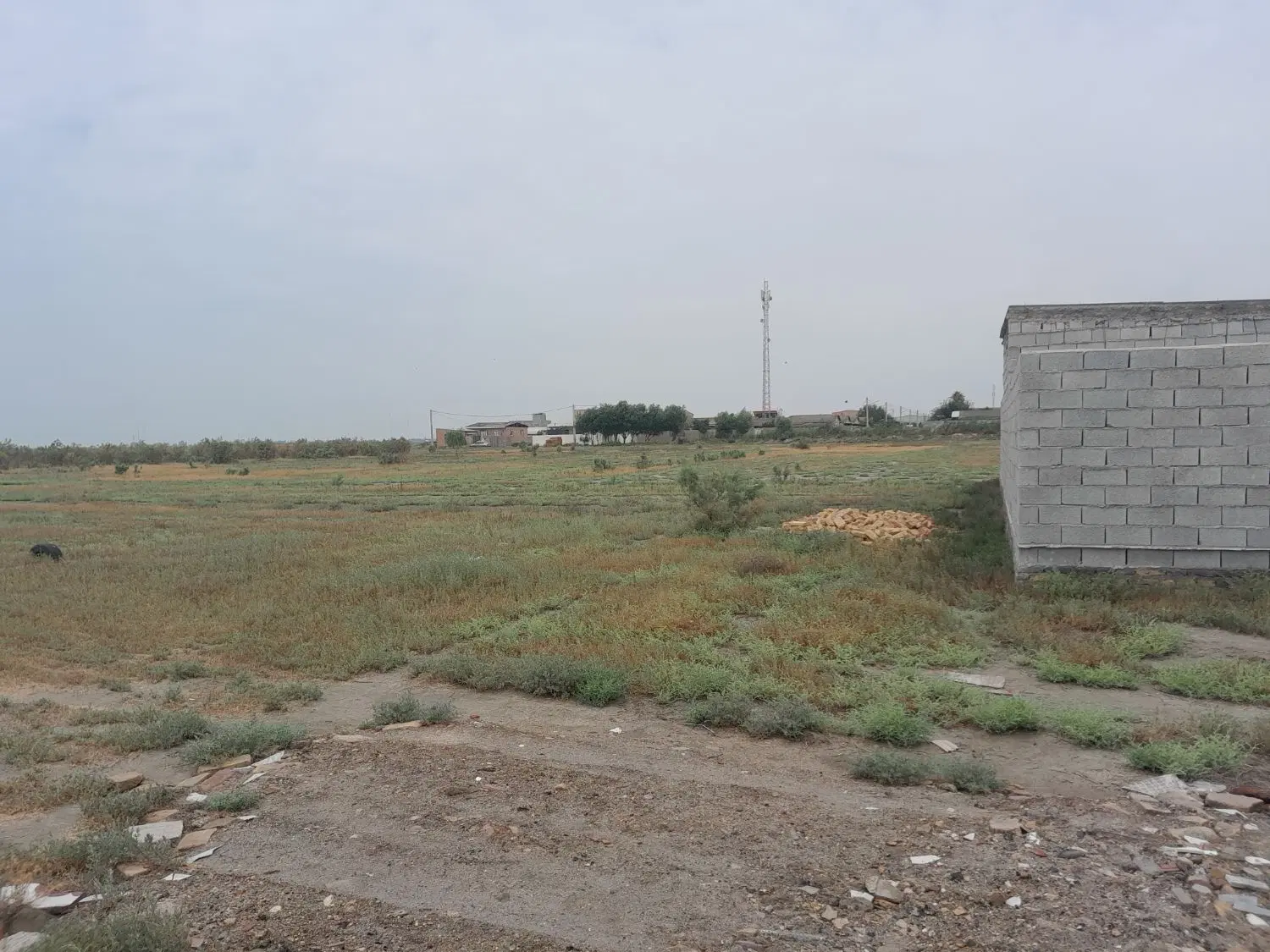 فروش چند قطعه زمین در بندرترکمن