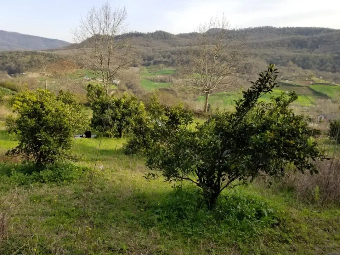 فروش باغ سالار دره ۲۷۰۰ متری روستای توریستی امره