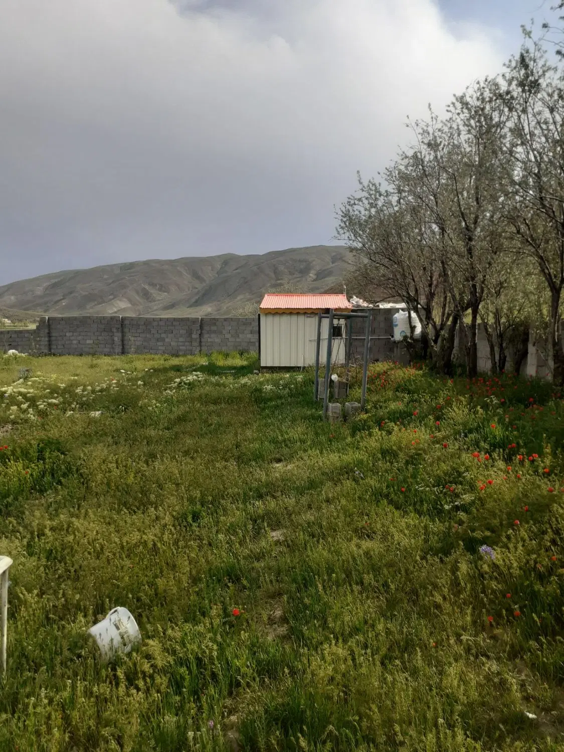 باغ در روستای اولی کندی