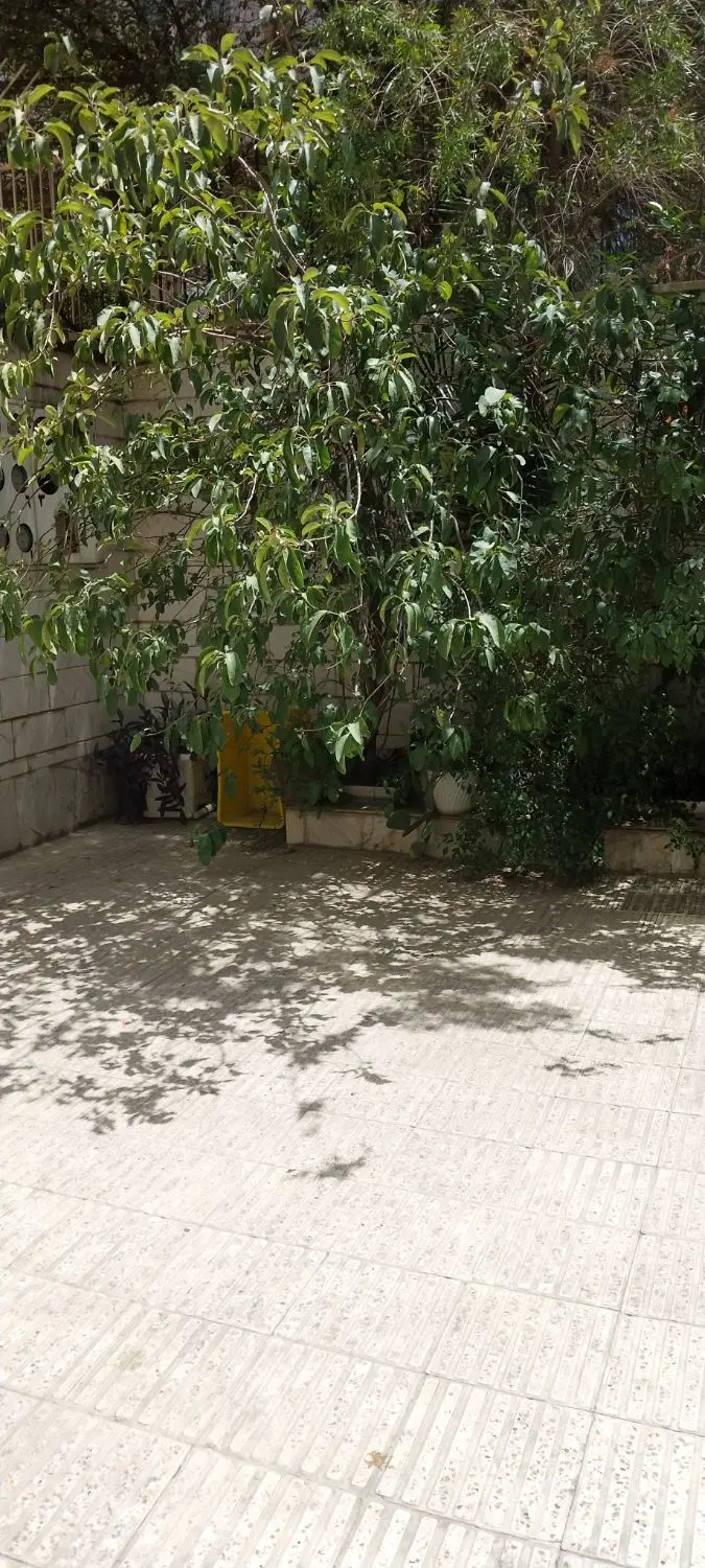 با مدیریت خانم معین. رهن و اجاره