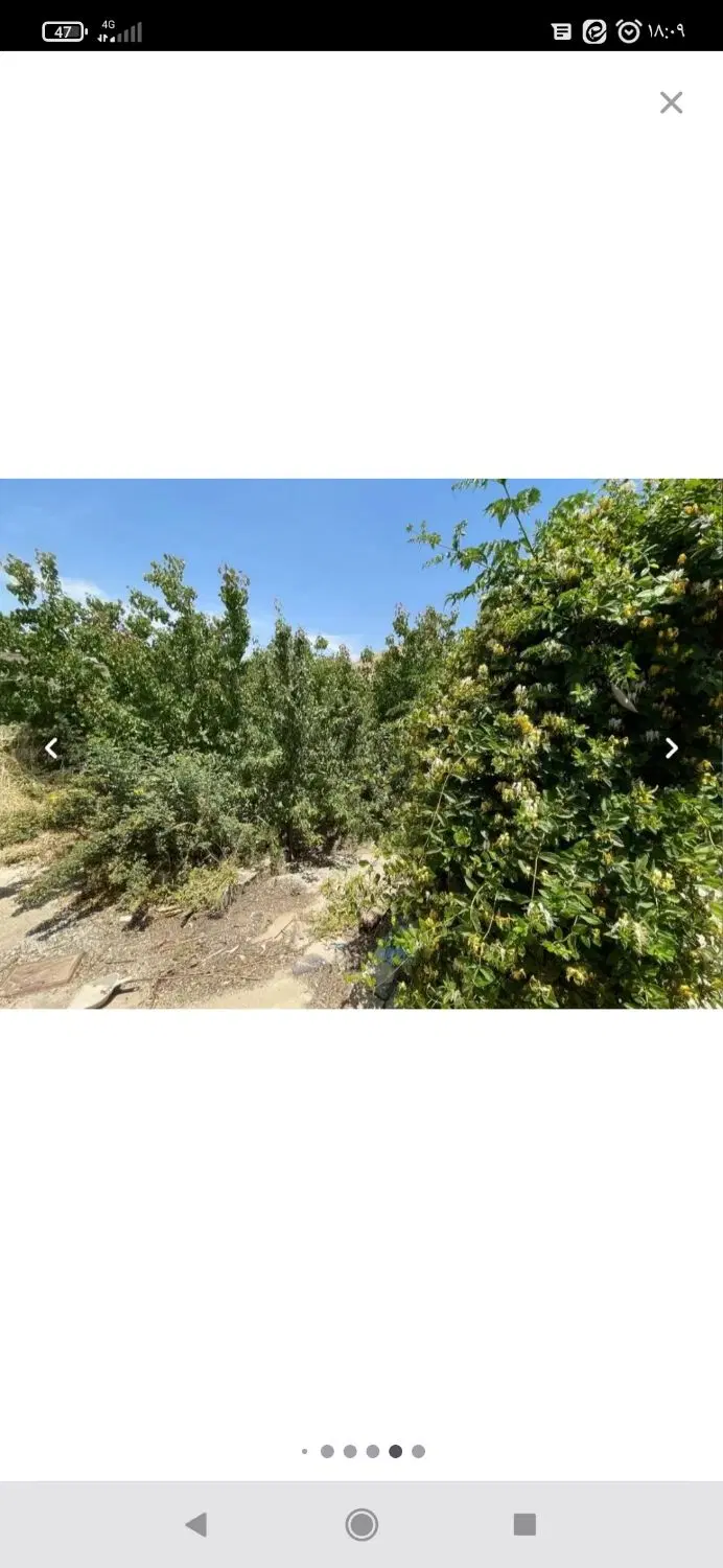 فروش باغ ویلا در روستای چغادون