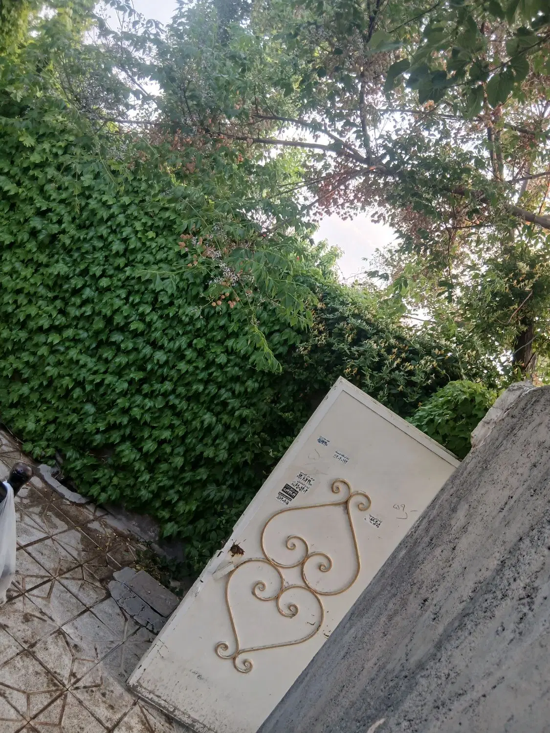رهن. واجاره