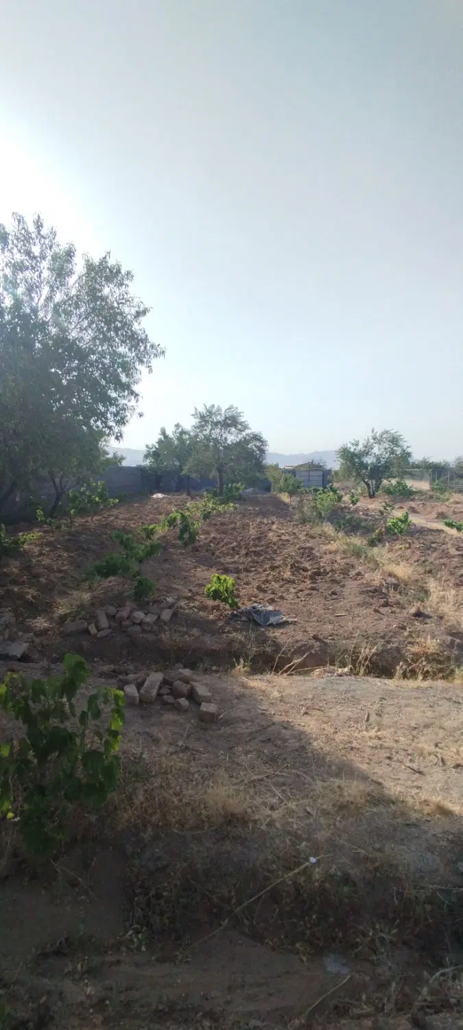 باغ میرزیجران