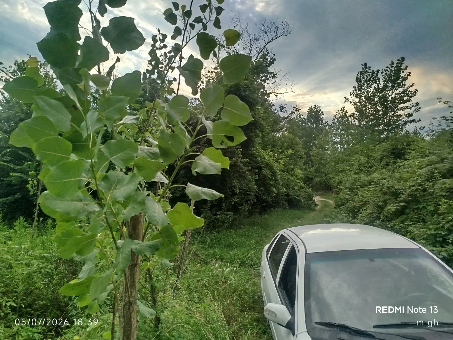 ۱۰۰۰ متر مسکونی باغی دوبر در صومعه سرا