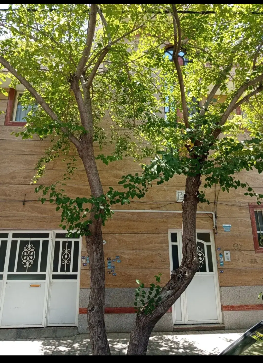 منزل ویلایی طبقه همکف