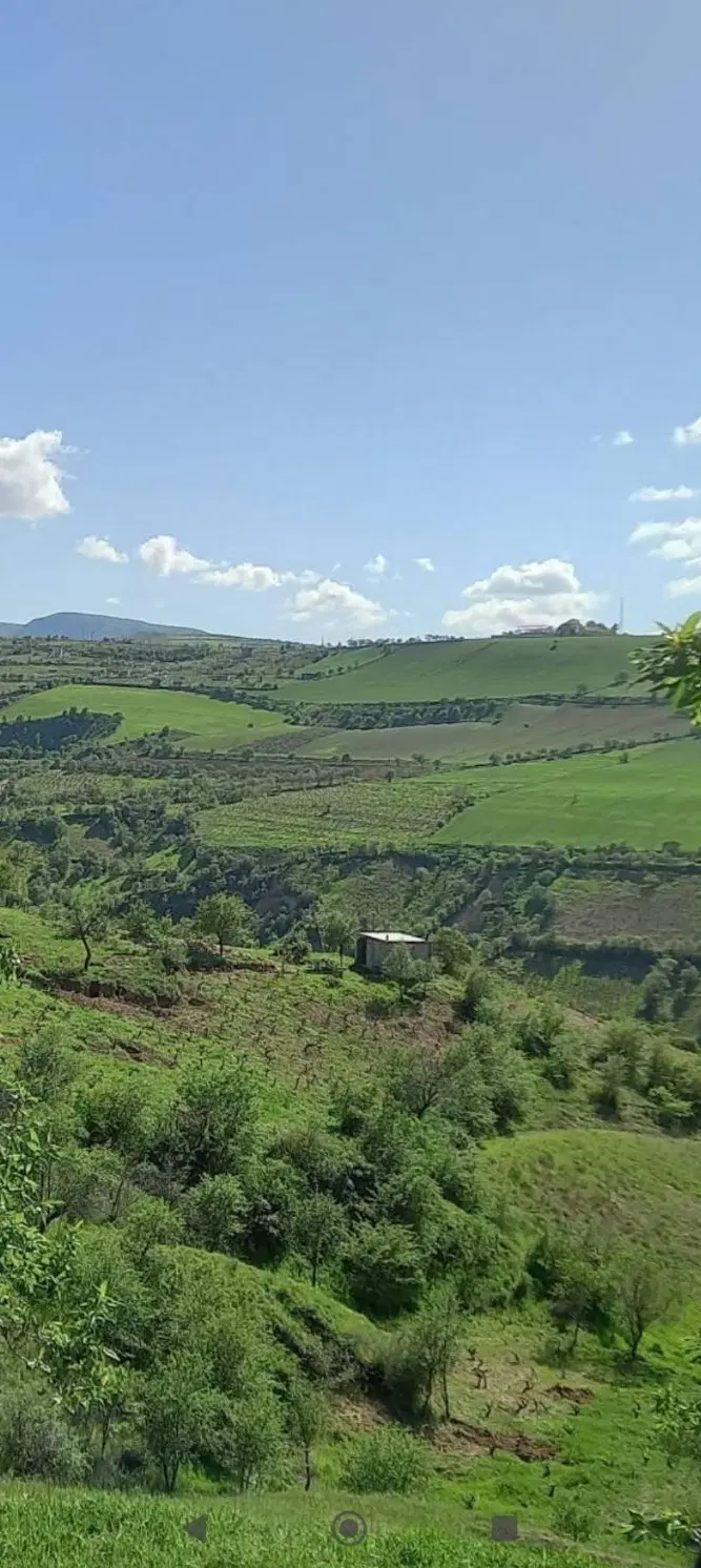 زمین ویلایی در حاشیه روستای مملجه با ویو جنگلی