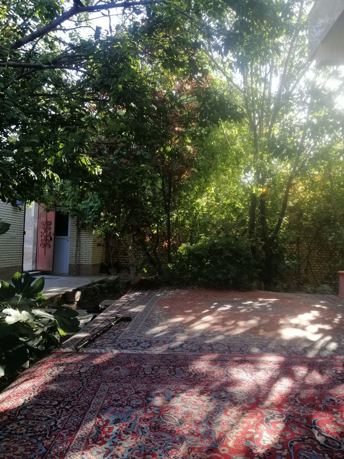 زمین سونیج