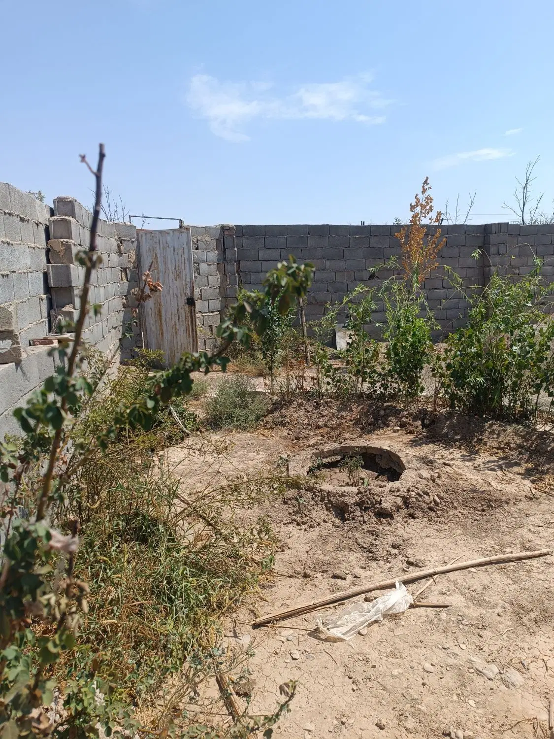 فروش باغ فیلستان ( ارمبویه)