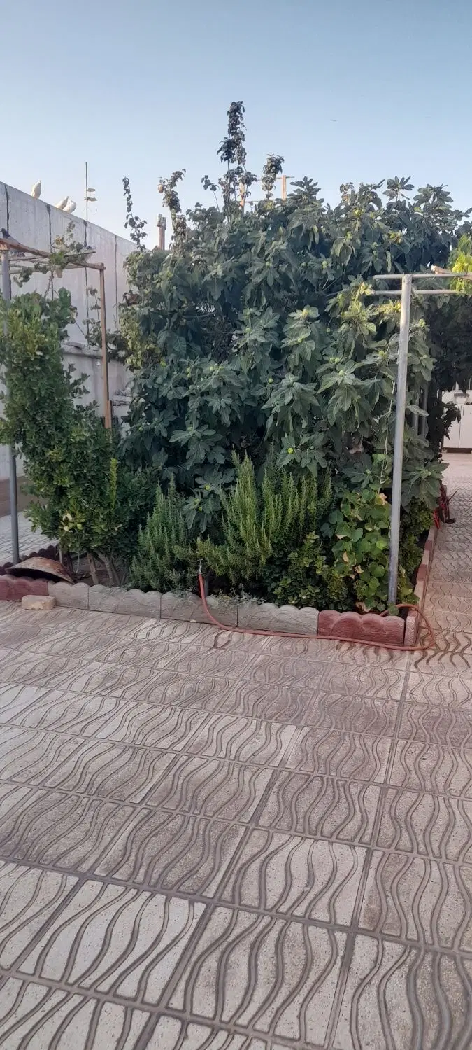 فروش خانه ویلایی خوش نقشه و خوش قیمت