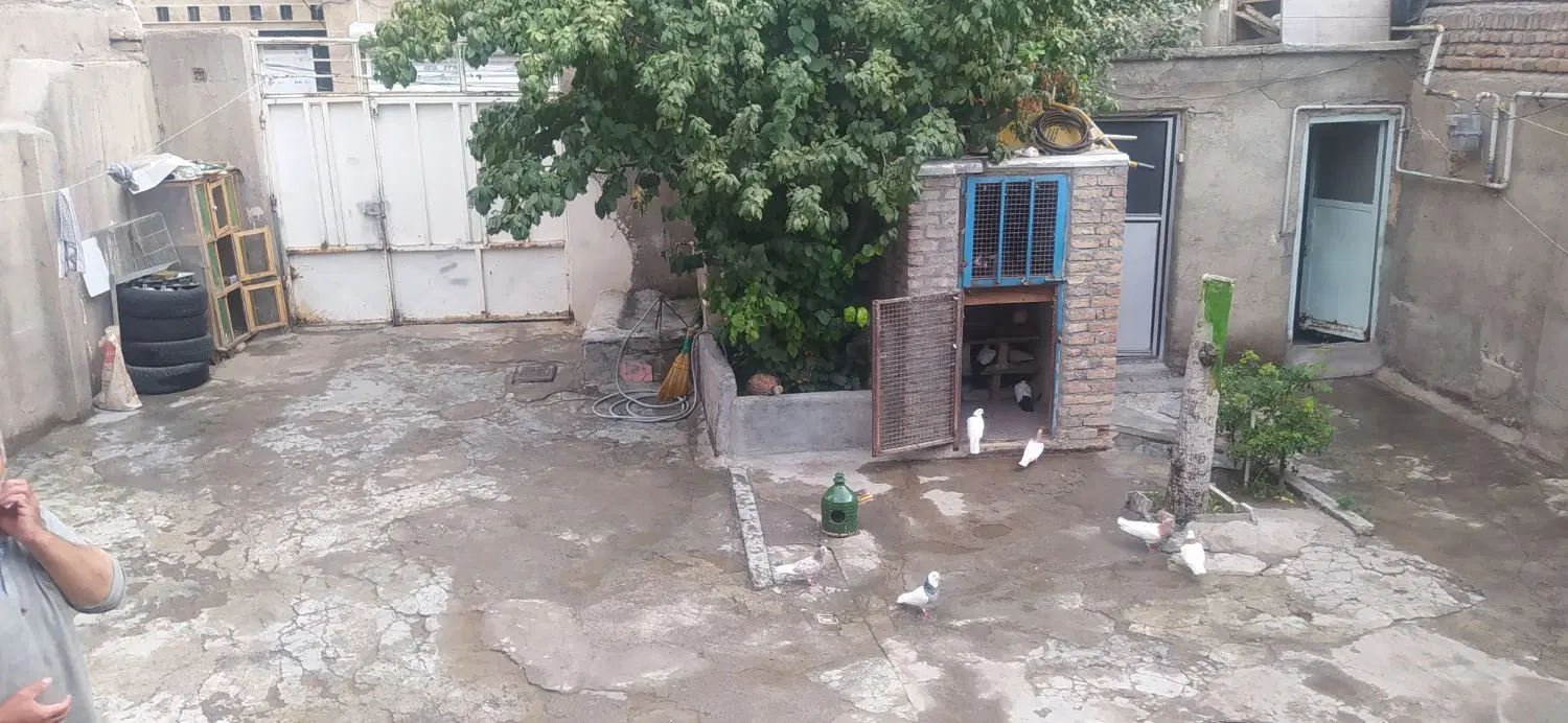 ملک کلنگی مساحت 200 با بر10.5
