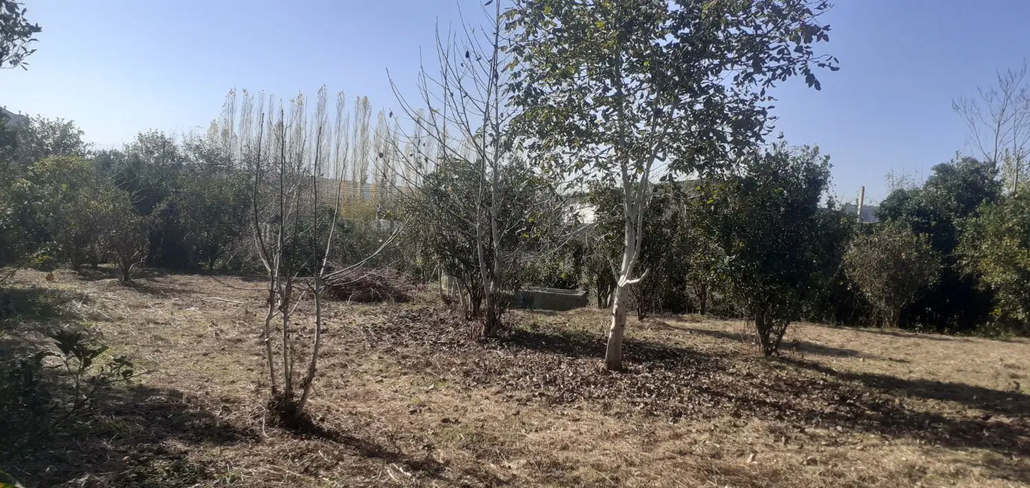 فروش زمین مسکونی