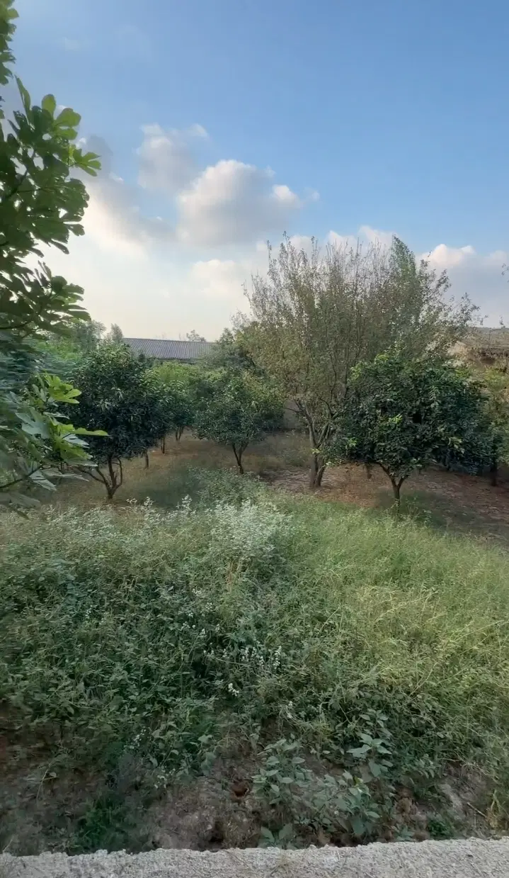 زمین فروشی