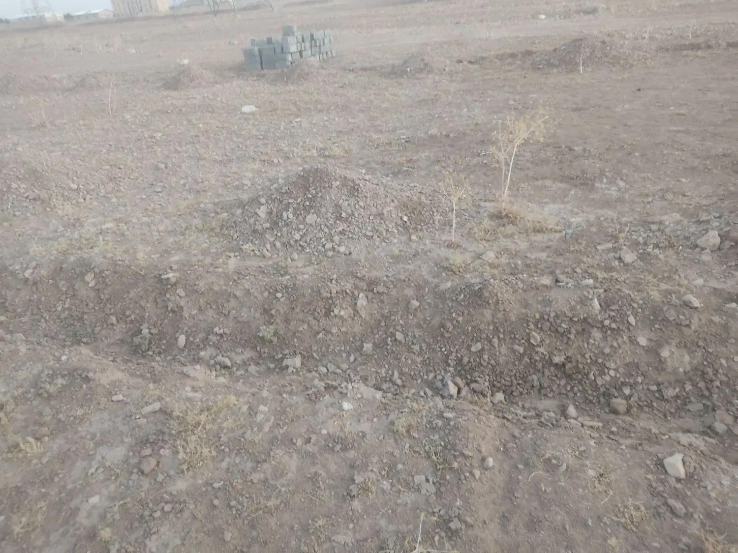 250متر زمین