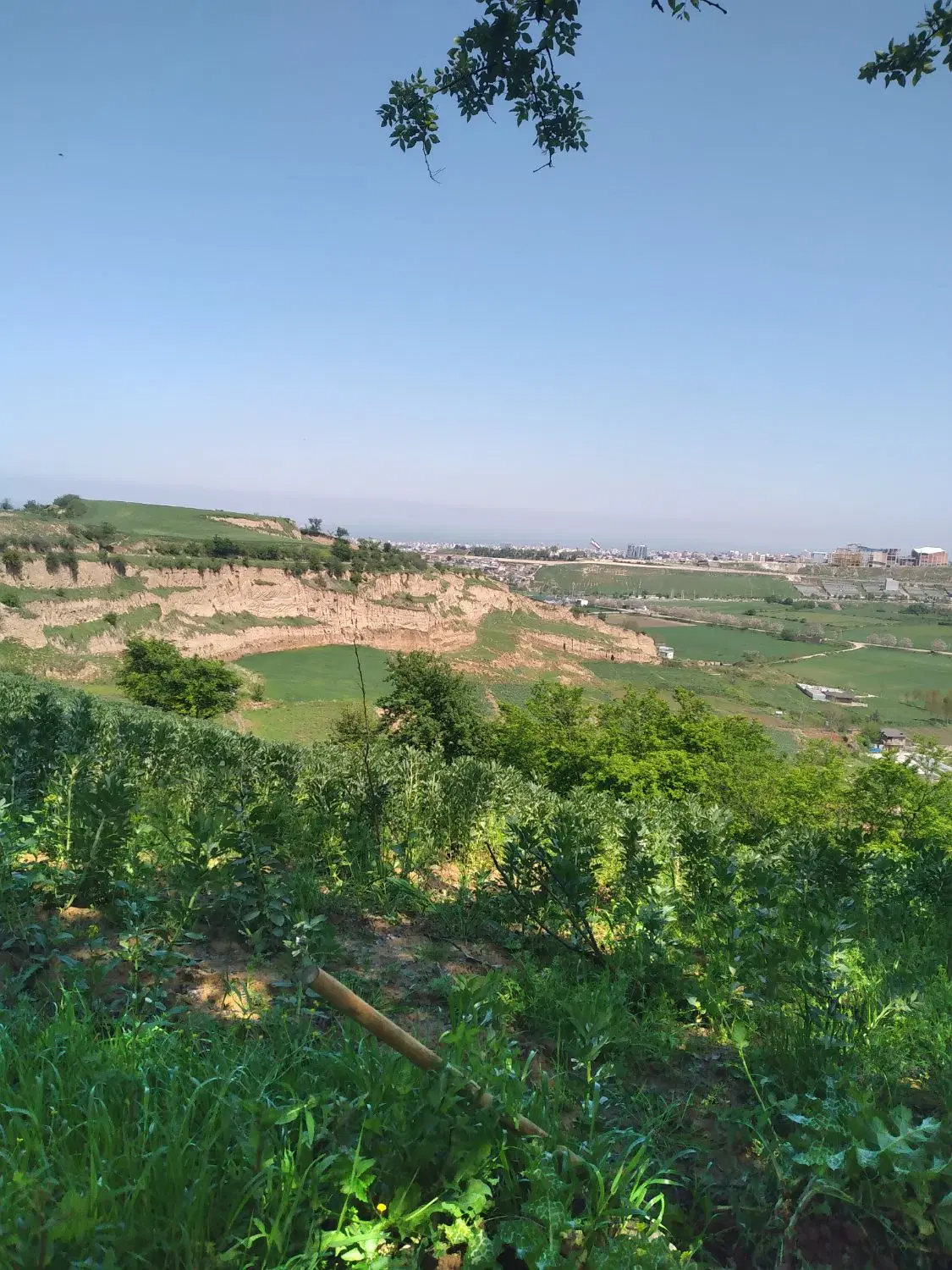 فروش زمین
