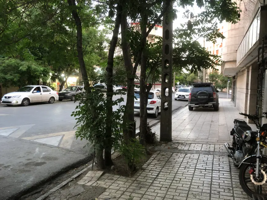 ۱۰۰ مترفول صیاد