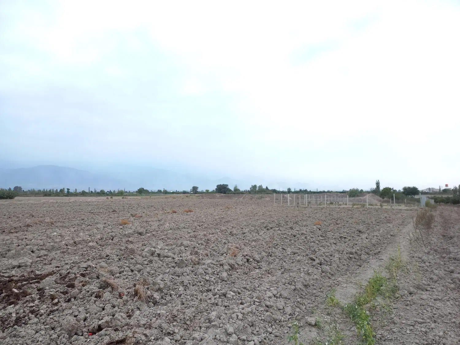 زمین کشاورزی روستای کلاجان