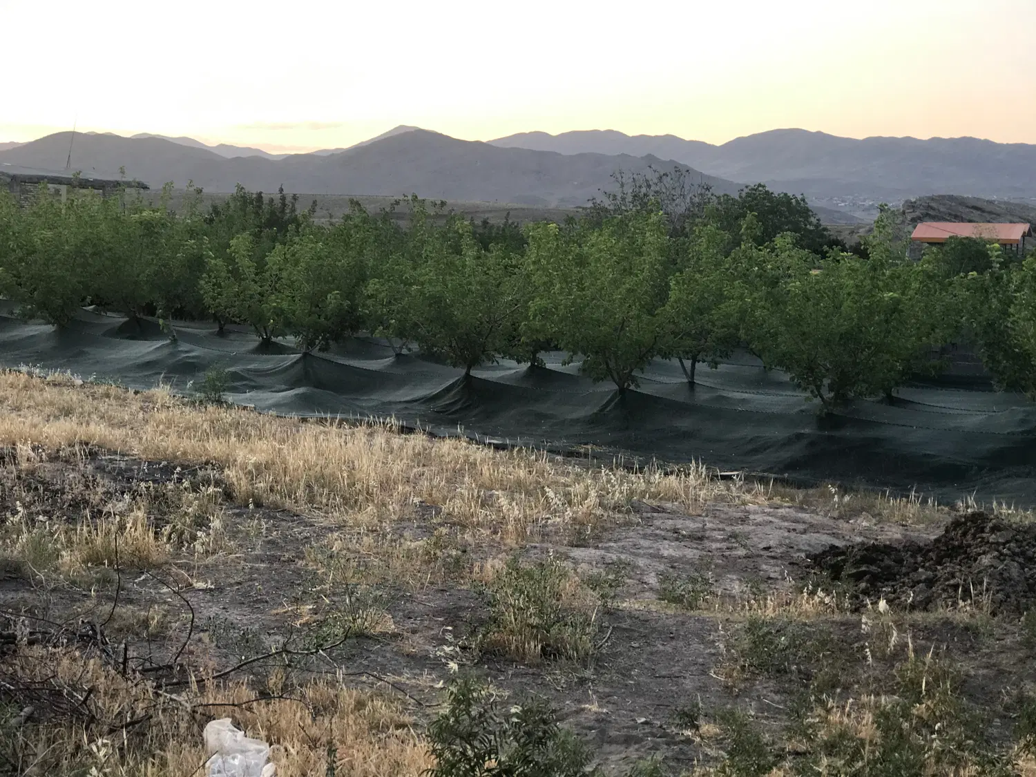 حدود ۵۰۰۰ متر زمین شهر قاهان دشت گزنه با مجوز ساخت