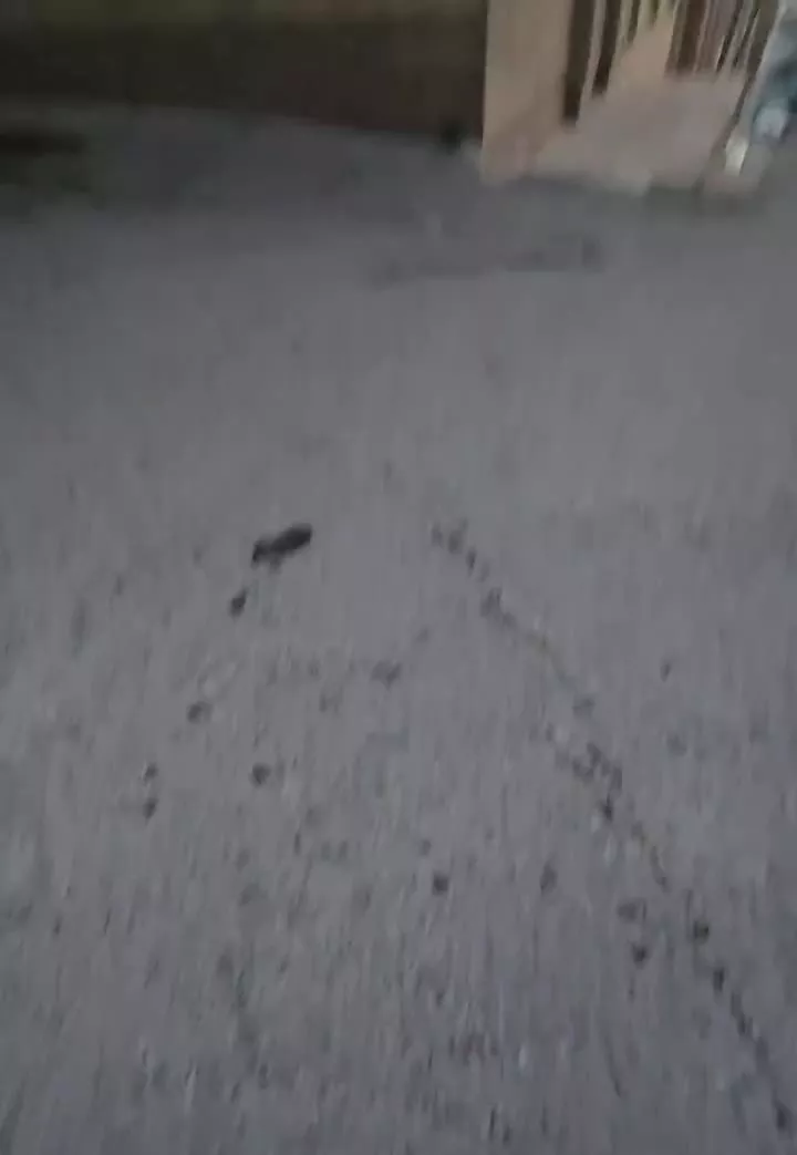 منزل مسکونی .دو طبقه