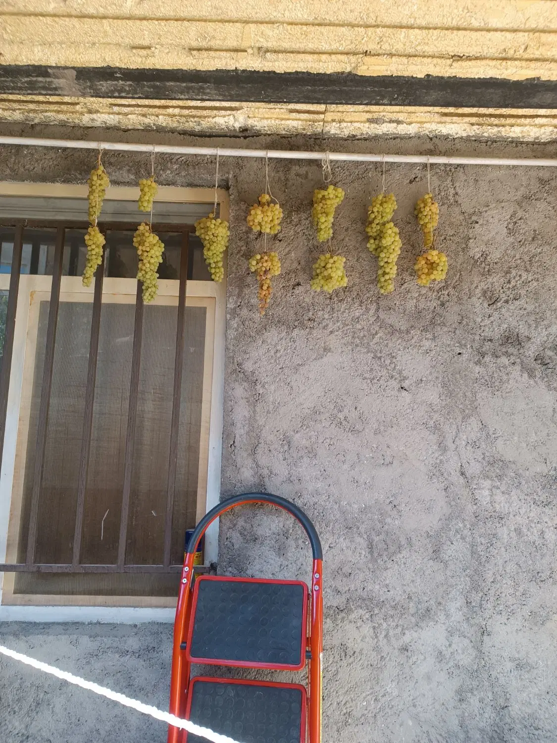 اجاره خانه ویلایی در هفده شهریور شاداباد