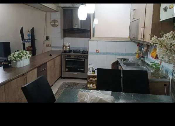 ی هم خونه خانم