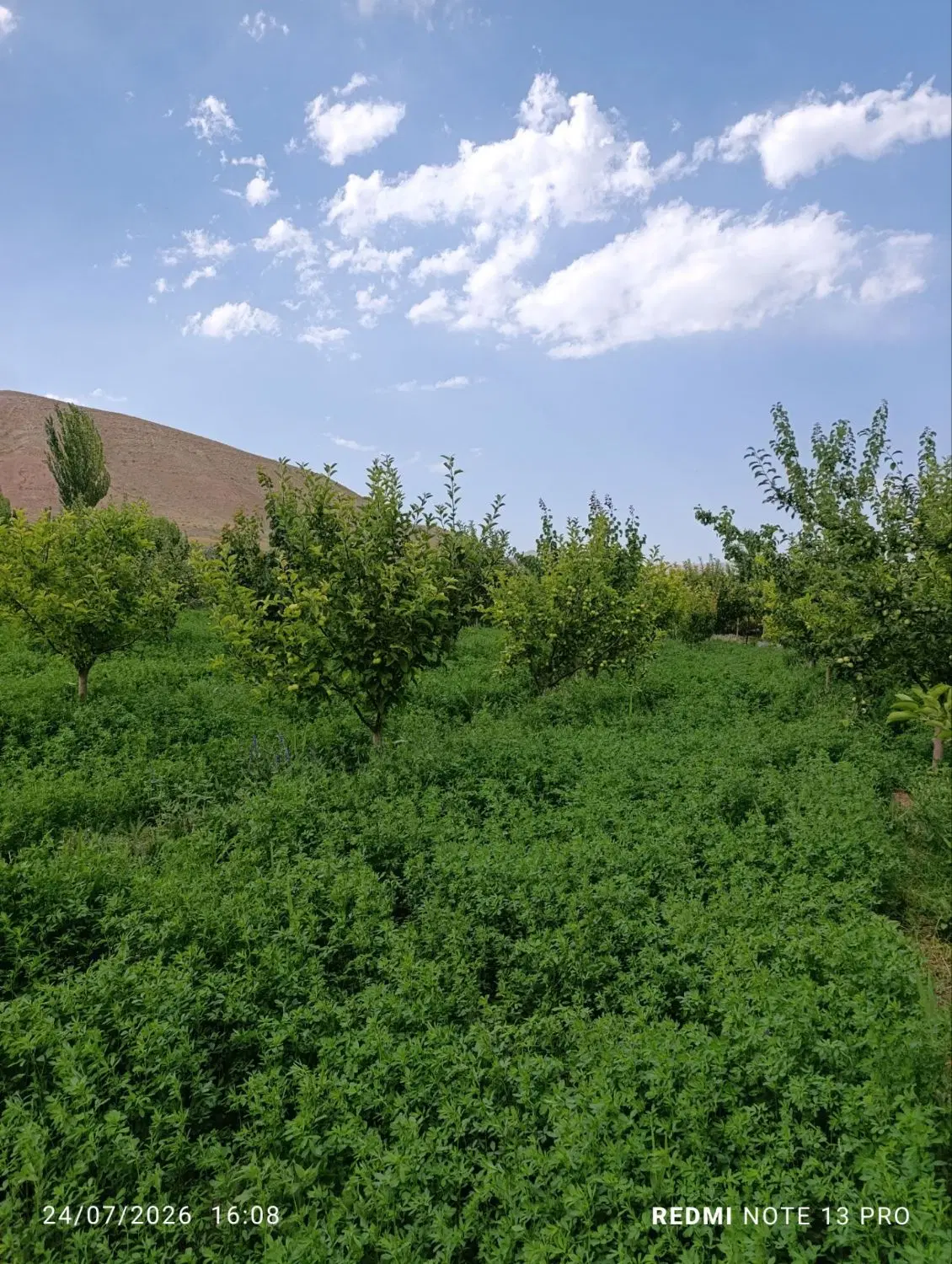 فروش باغ ۱۵۰۰ متر