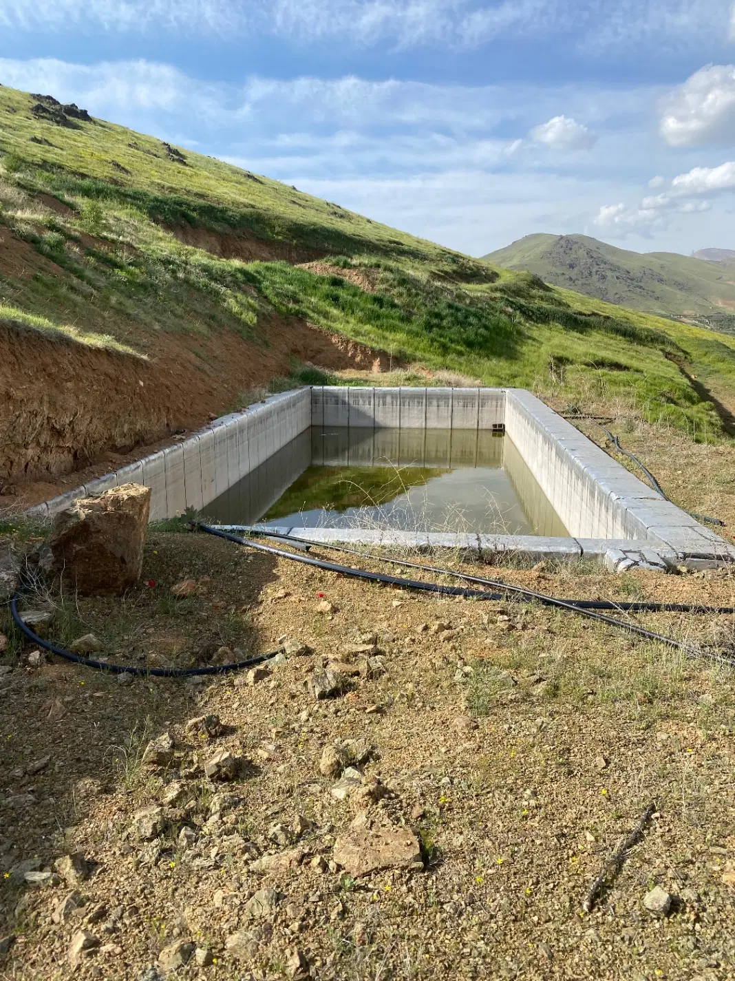 باغ با درخت و امتیاز خوش مسیر