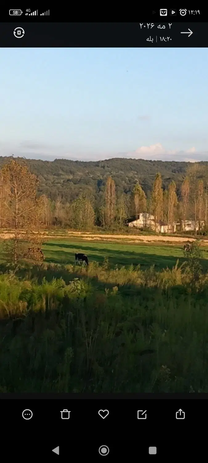 زمین کشاورزی.رشت سد سنگر روستای قاضیان