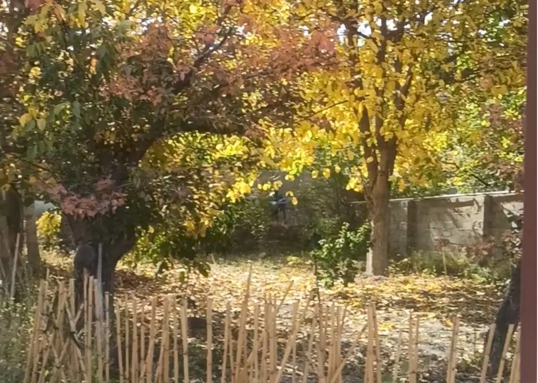 باغ ویلایی روستایی