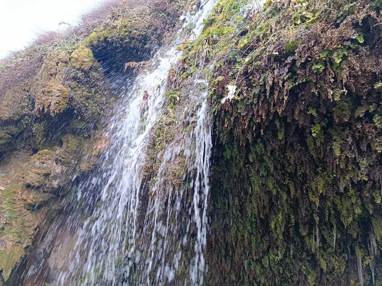 یک باب منزل مسکونی سند شش دانگ