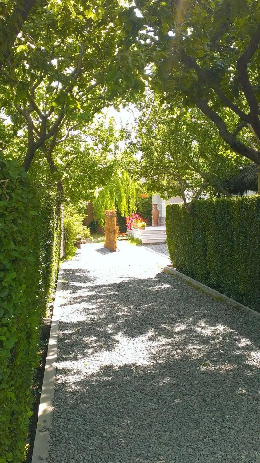 زمین باغچه ای