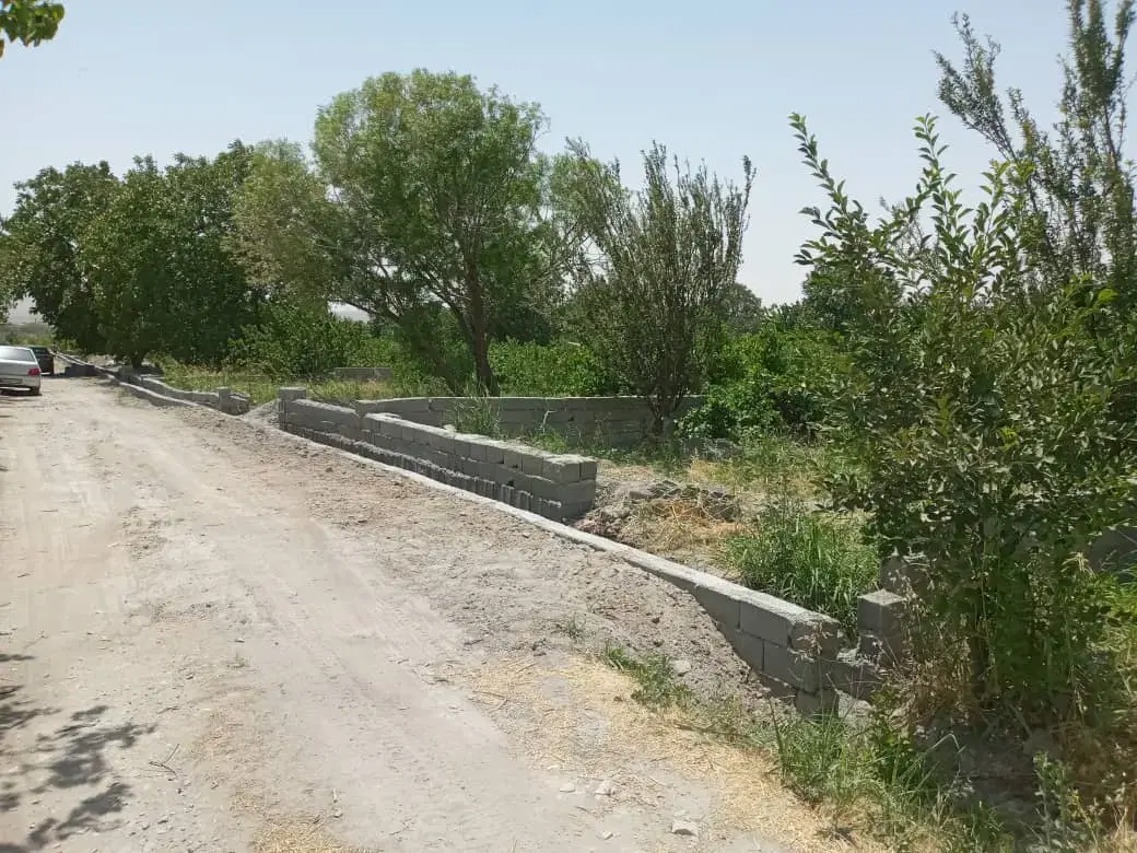 زمین باغی