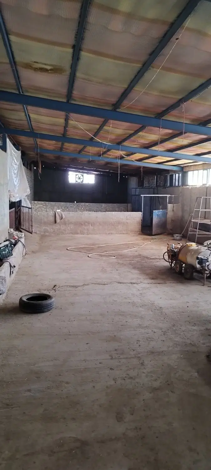 سوله ۱۰۰۰متری
