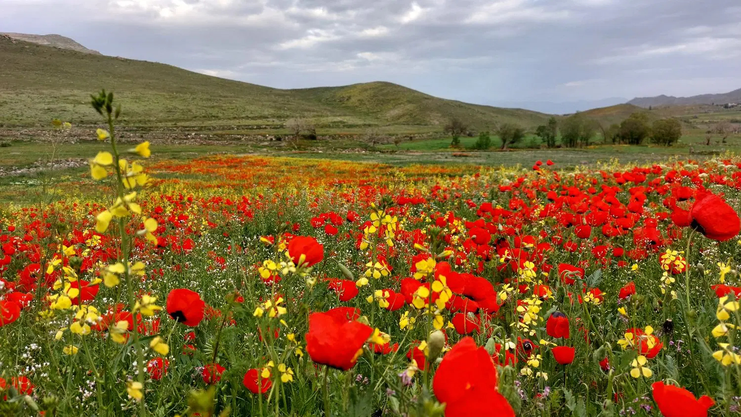 زمین فروشی