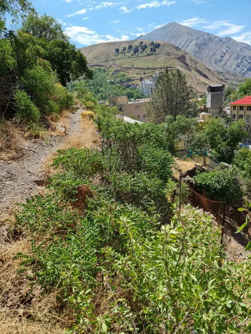 مشارکت در ساخت- فشم به سمت میگون