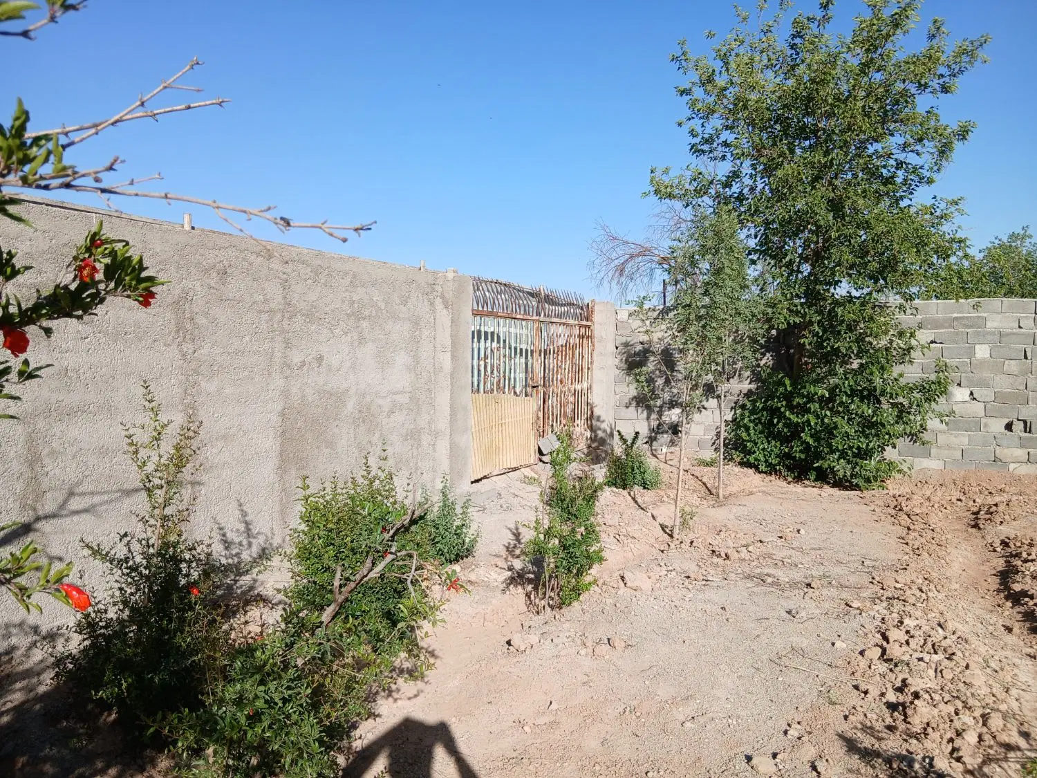 زمین باغچه ای
